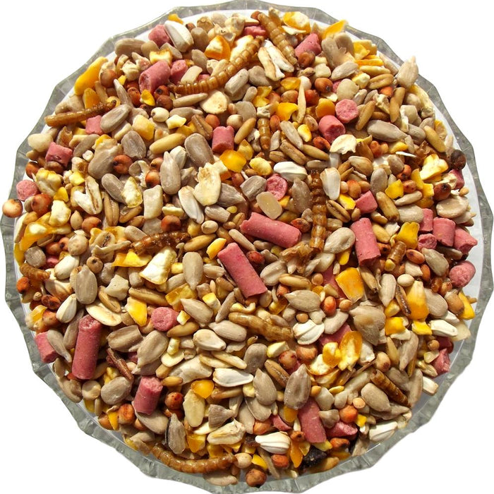 Discover the Delight of Feeding Garden Birds with Our Premium Plus Seed Mix